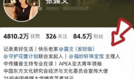 京城乔姐被爆料视频全集