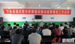 甘谷新闻爆料网最新