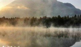 晨雾在线观看,揭秘神秘晨雾的奇幻之旅