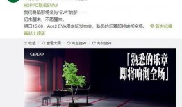最新最官方的爆料,重大事件背后真相全解析