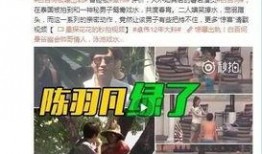 刘小妖诈骗爆料视频,视频爆料揭露惊人内幕