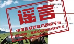 十一时事爆料新闻,揭秘热门新闻背后的热点事件与幕后故事”