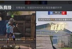 和平使者爆料视频下载,视频下载背后的真相披露