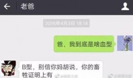 搞笑爆料新闻视频大全集,搞笑爆料新闻视频大全集精彩回顾