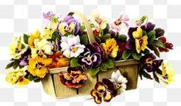 花篮网爆料最新网站大全,最新网站大全汇总，一网打尽全网精彩