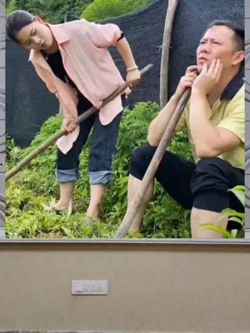 八卦娱乐是吃瓜群众的